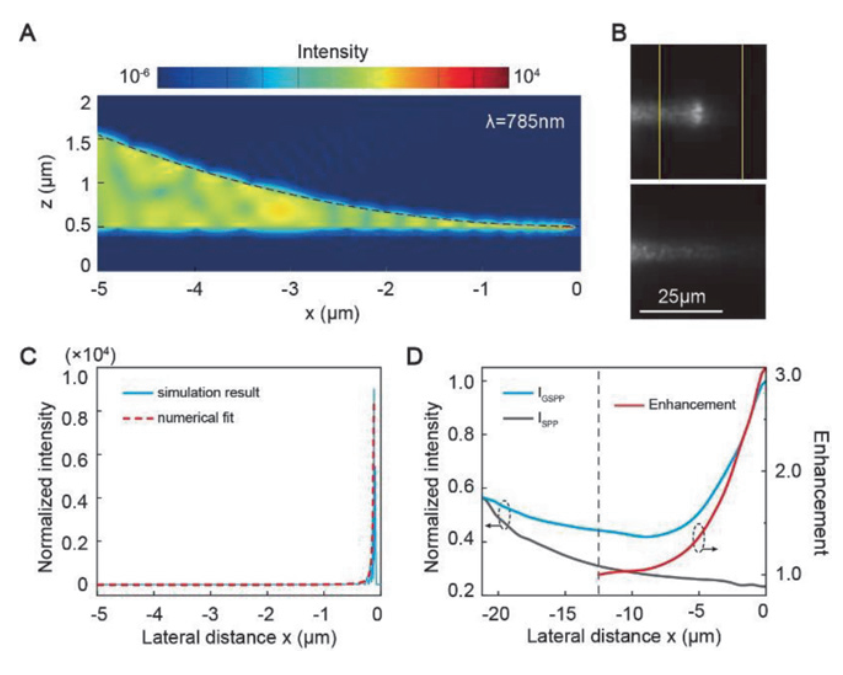 Experimental nanofocusing of surface plasmon polaritons using a gravitational field