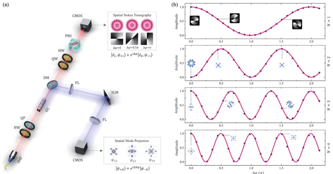 Real-Time Superresolution Interferometric Measurement Enabled by Structured Nonlinear Optics